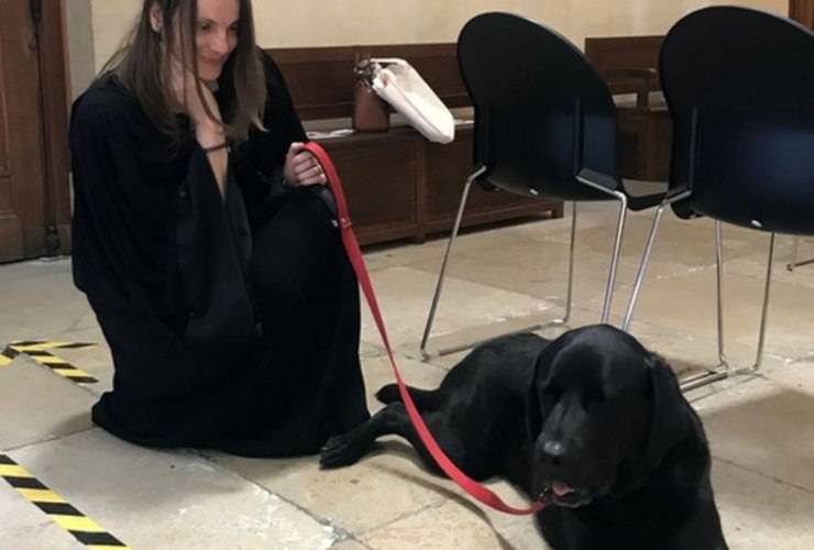 Cane Lol Vittime Violenza Tribunali Francesi