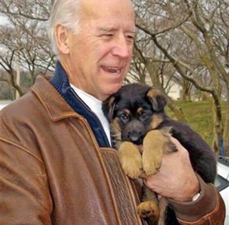 Joe Biden insieme a Champ (Screen Instagram)