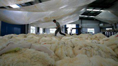 Israele Bandito Commercio Pellicce