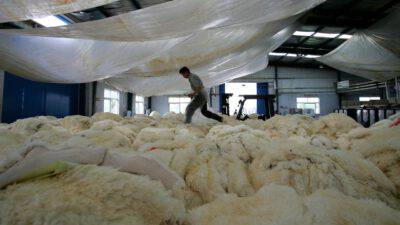 Israele Bandito Commercio Pellicce