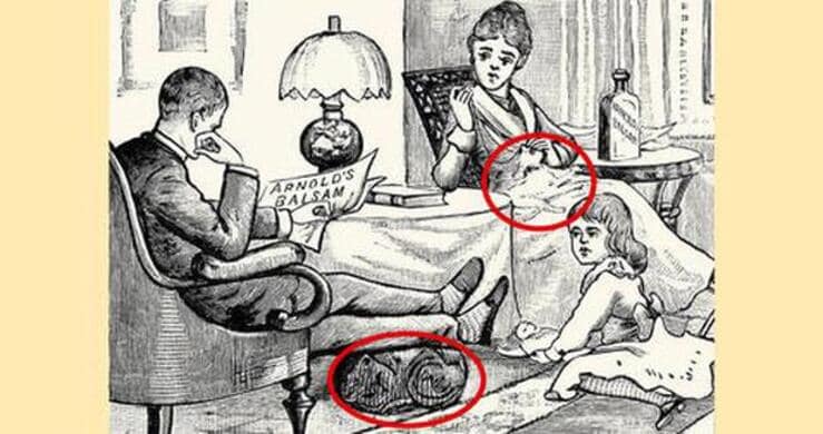 soluzione test dei gatti 