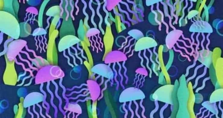 test visivo il fungo nascosto tra le meduse