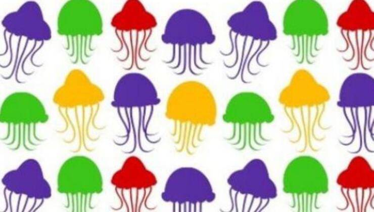 Test visivo delle meduse