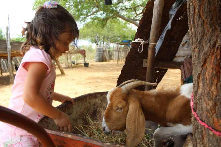 bambina mangiare capra disabile