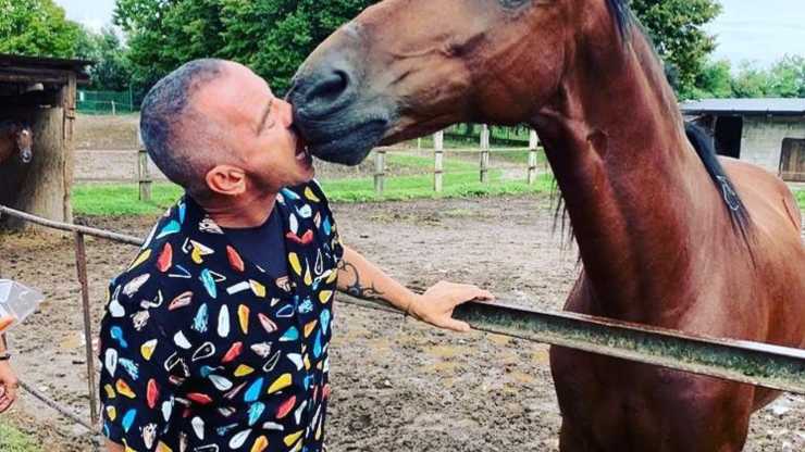 Eros Ramazzotti: chi è il suo cavallo