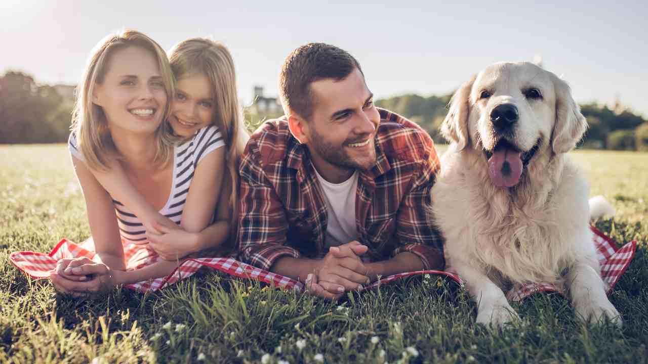 Il comportamento del cane cambia dopo la sterilizzazione?