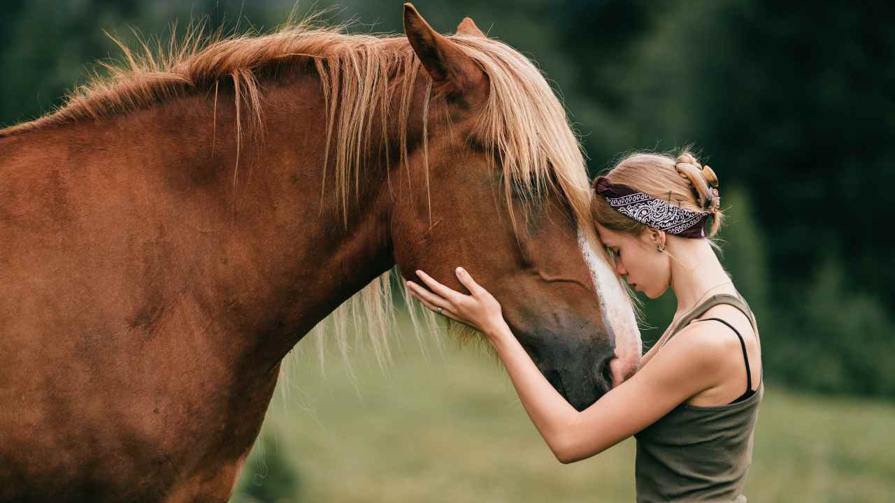 Come superare la morte del cavallo