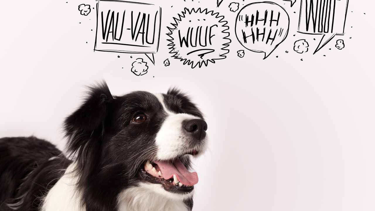 Come abbaiano i cani nelle altre lingue