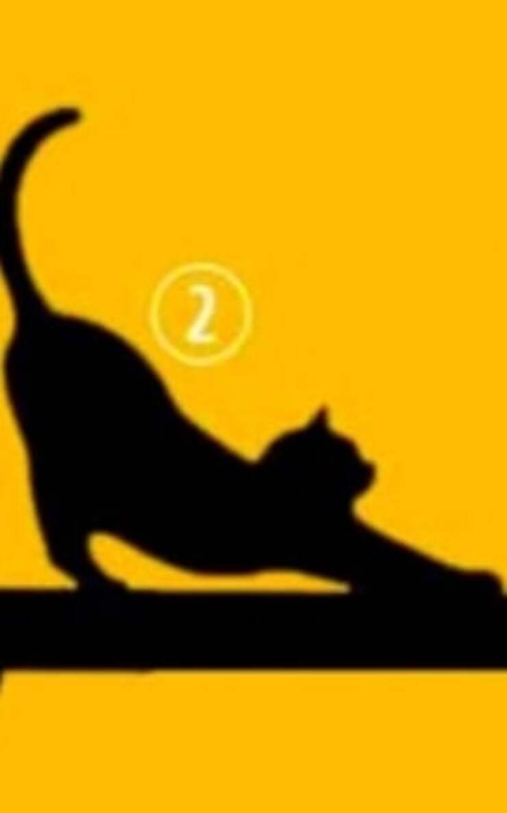 Il test visivo dei gatti che rivelano il vostro scopo e la vostra personalità