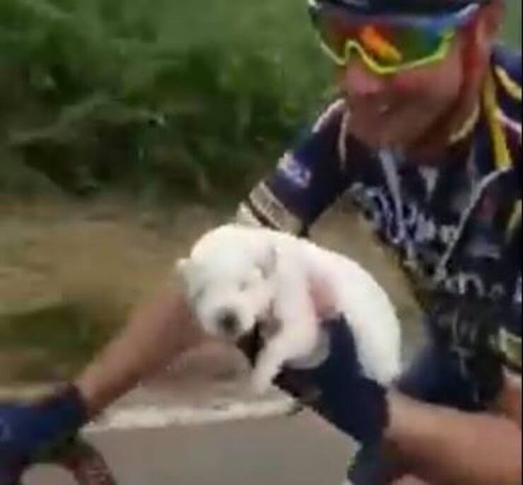 Il cucciolo salvato dal Team Anagni Bike (Screen video Youtube)