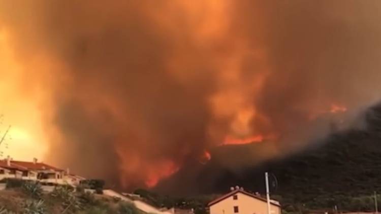 Fiamme Incendio Sardegna Cane Pastore