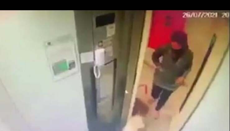 Donna in ascensore con i suoi cuccioli (Screen Video)