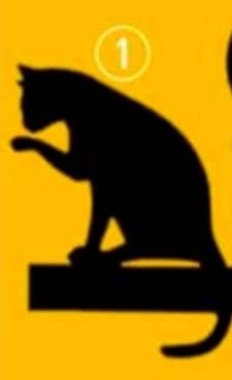 Il test visivo dei gatti che rivelano il vostro scopo e la vostra personalità