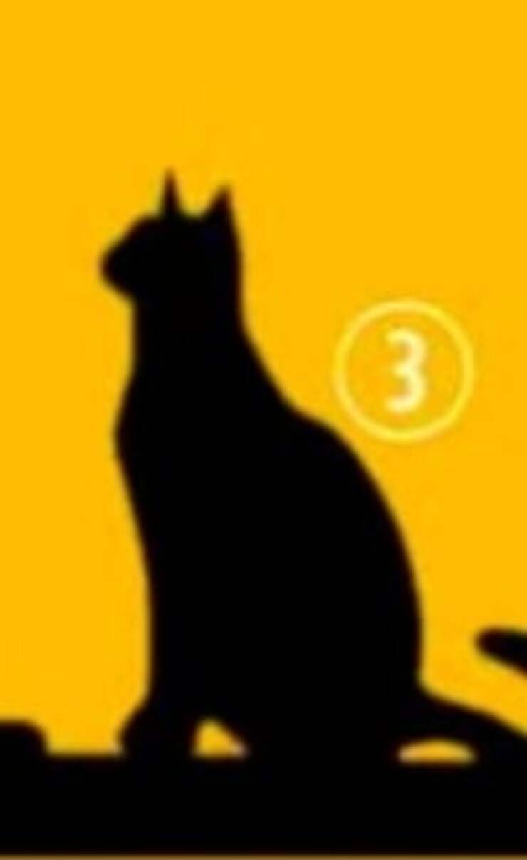 Il test visivo dei gatti che rivelano il vostro scopo e la vostra personalità
