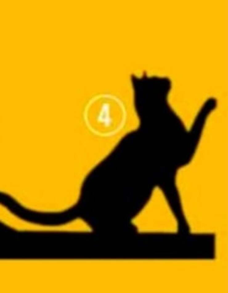 Il test visivo dei gatti che rivelano il vostro scopo e la vostra personalità