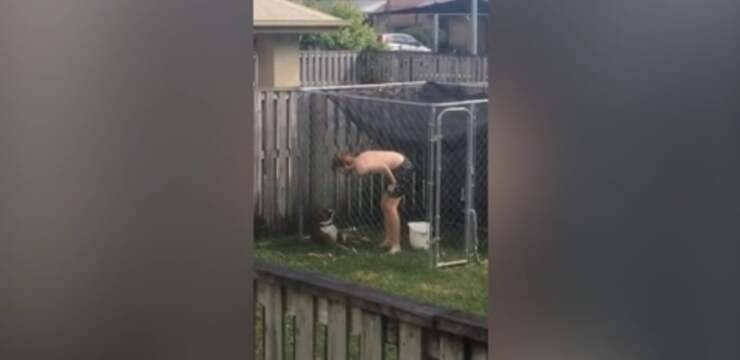 uomo aggredisce il cane per aver scavato una buca (Screen Video)