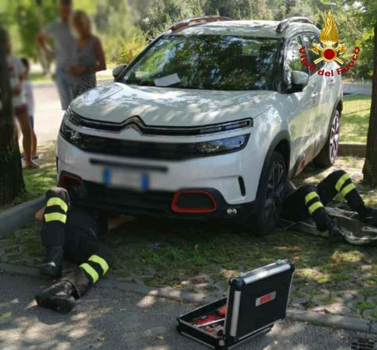 gatto parafango auto vigili fuoco