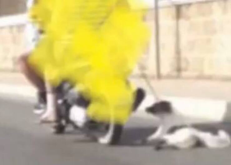 Allegra trascinata sull'asfalto (Screen video Facebook)