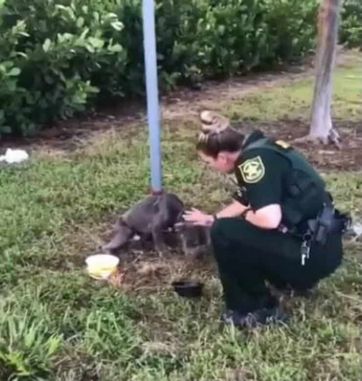 Poliziotta accarezza il cucciolo Liam (Screen video Youtube)