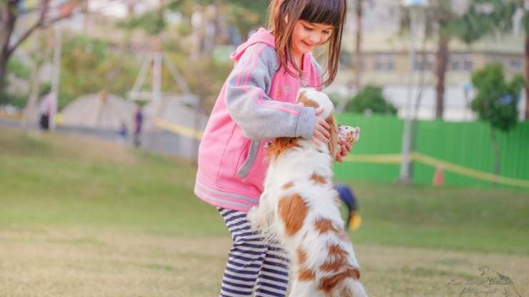 insegnare al cane ad interagire con i bambini