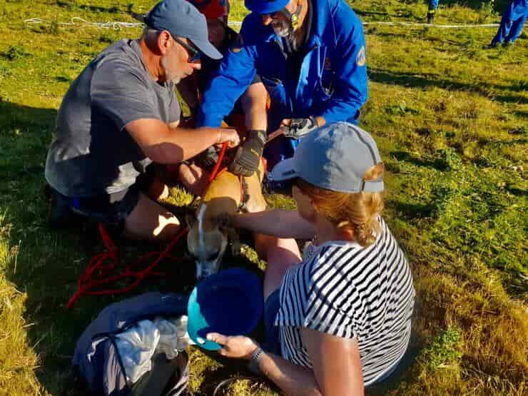 Il salvataggio del cane precipitato e del proprietario bloccato nel fango (Foto Facebook)