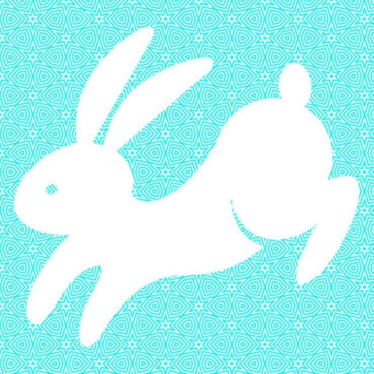 Soluzione del test visivo del coniglio nascosto