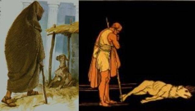 Cane di Ulisse: nome, razza, storia, caratteristiche e curiosità