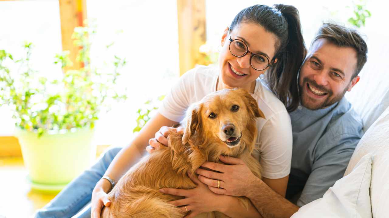 I cani capiscono le nostre intenzioni