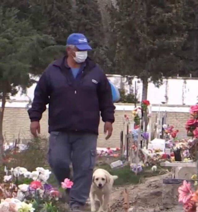 Da tre anni un cane vive sulla tomba del suo padrone (VIDEO)