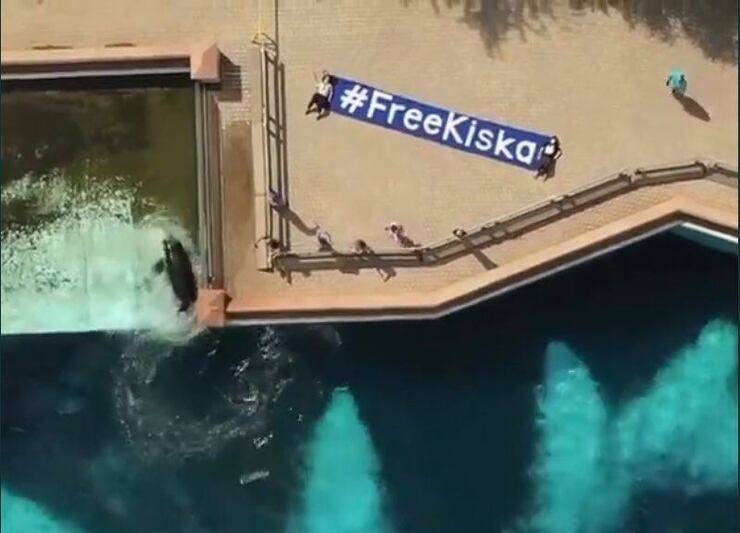 Free Kiska (Screen video)
