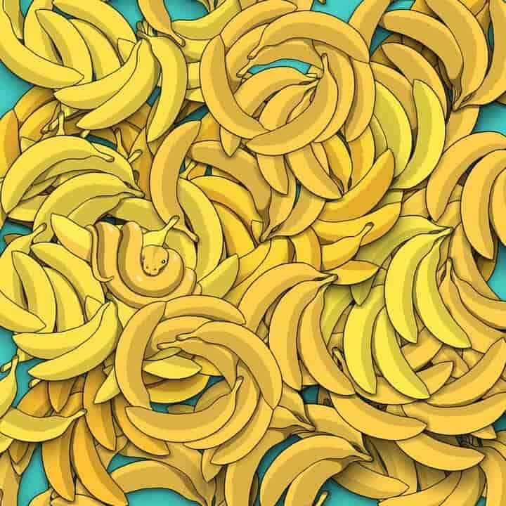 Test visivo trova il serpente tra le banane