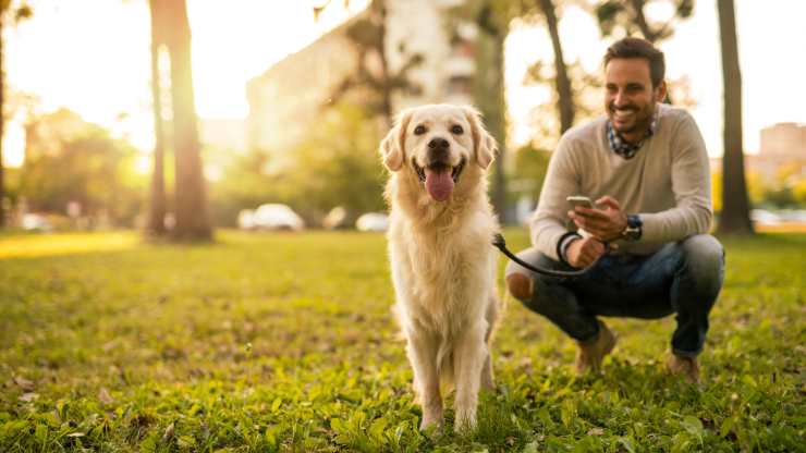 cane ricorda quello che facciamo