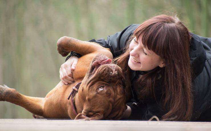 Il cane muove la zampa quando gli gratti la pancia