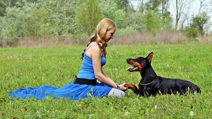 insegnare al cane il comando guardami