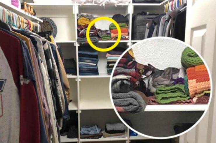 Soluzione della sfida visiva più difficile che vedrete oggi