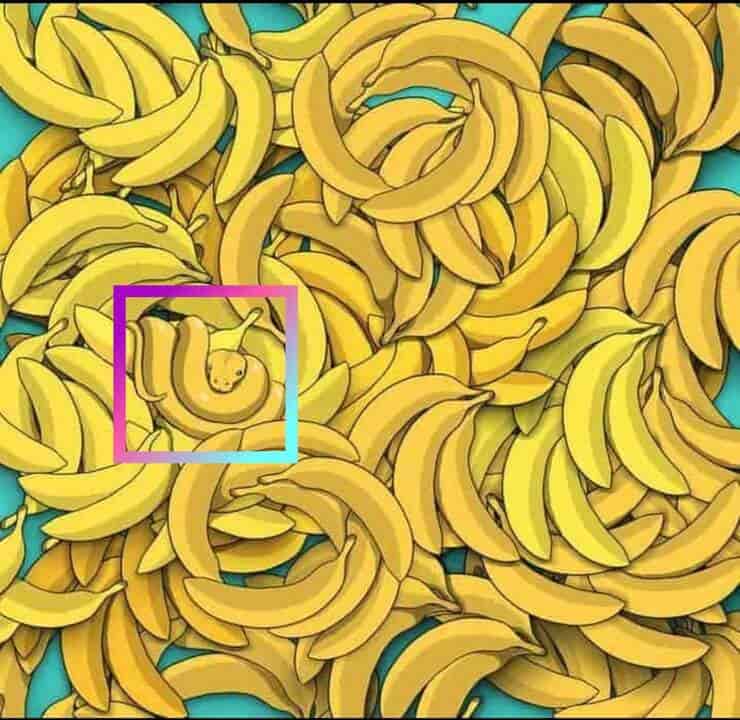 Test visivo trova il serpente tra le banane