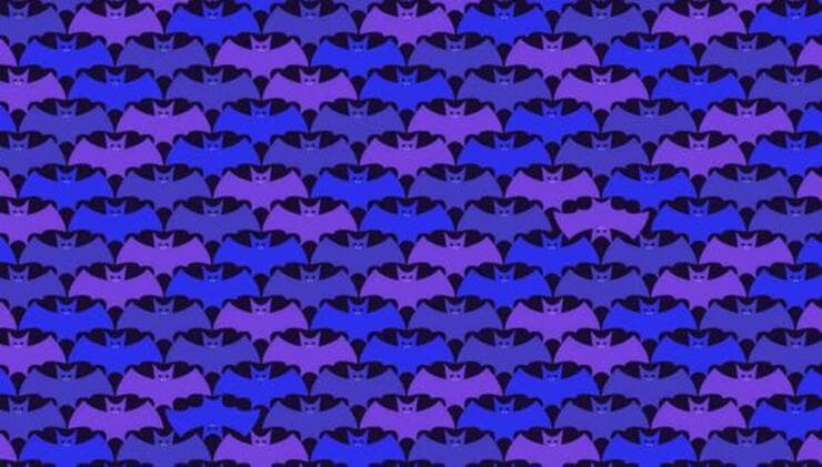 Il test visivo dei pipistrelli diversi , solo il 2% riesce a vederli 
