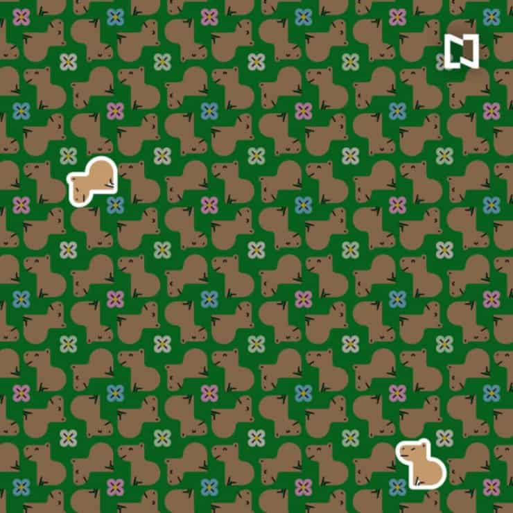 La soluzione del test visivo dei capibara