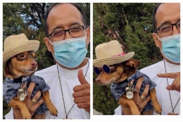 Chihuahua vestito a festa per la benedizione (Screen Facebook)