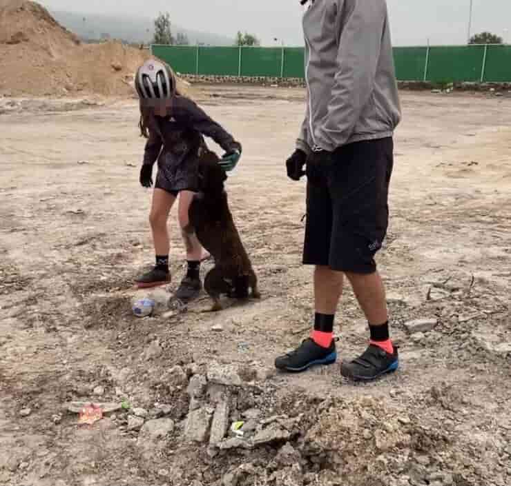 Cucciolo ringrazia i suoi soccorritori (Screen video)