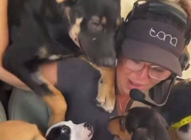 In volo con 27 cuccioli (Screen video)