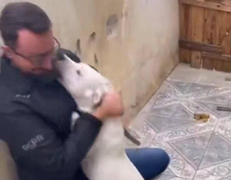 La cagnolina che ringrazia il suo salvatore (Screen video)