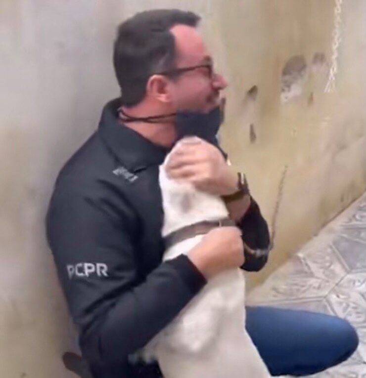 La cagnolina non smette di ringraziare il poliziotto che l'ha salvata (Screen video)