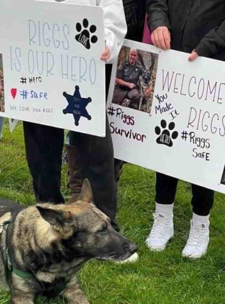L'accoglienza per il cane polizotto eroe (Screen Facebook)