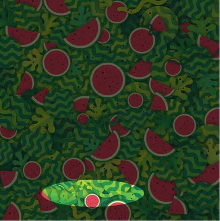 Soluzione test visivo del serpente tra le angurie