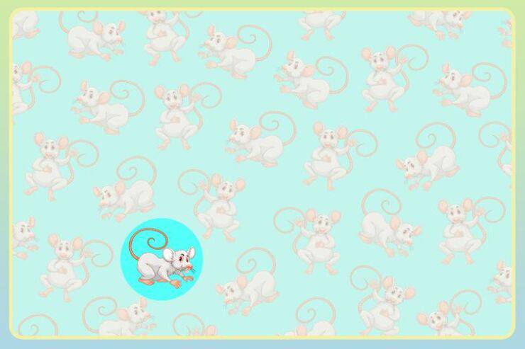 Soluzione del test visivo del topo diverso 