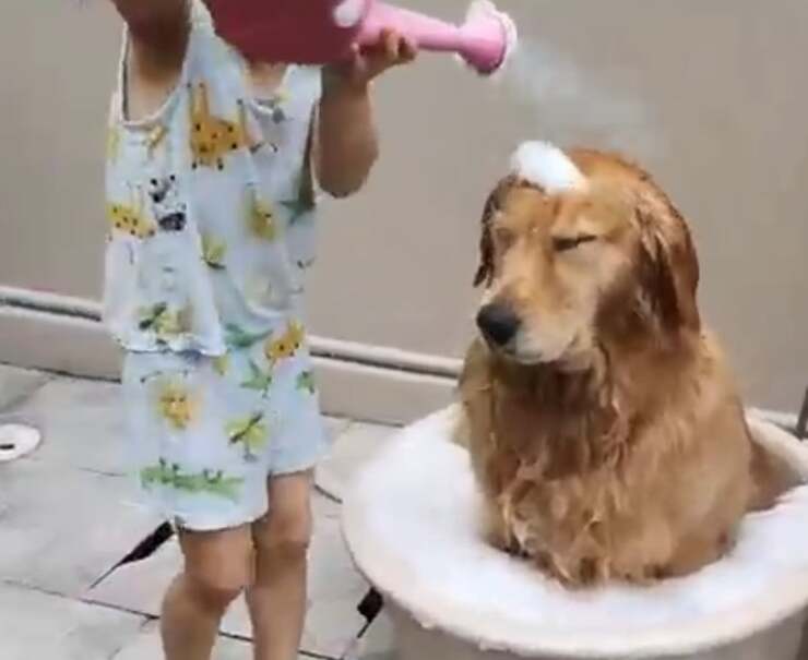 B il cane che la bambina si diverte a lavare con amore (Screen video)