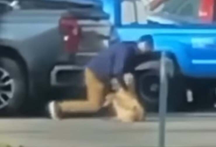 25enne prende a pugni il cane ma il video lo inchioda (Screen Video)