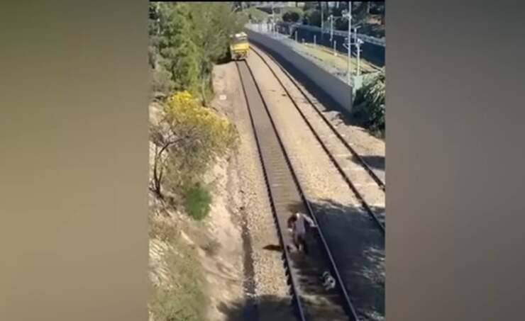 ragazzo corre sui binari per salvare un cane abbandonato (Screen video)