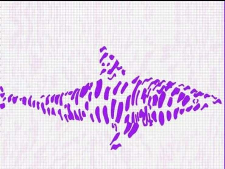 soluzione del test visivo delle macchie di colore: riesci a vedere oltre?